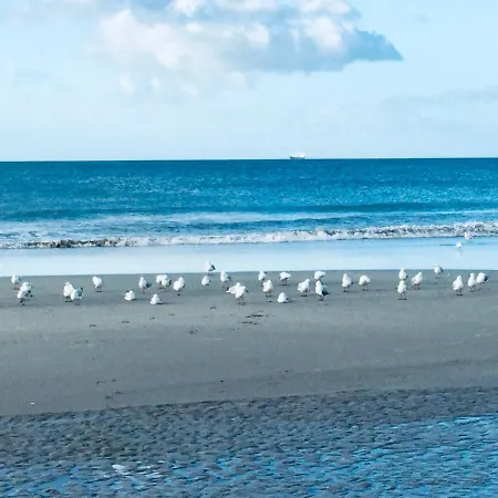 Absolute Beach Mount Maunganui Exterior photo