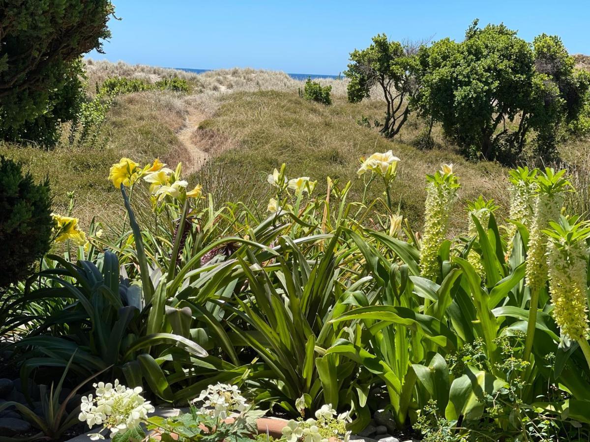 Absolute * Mount Maunganui